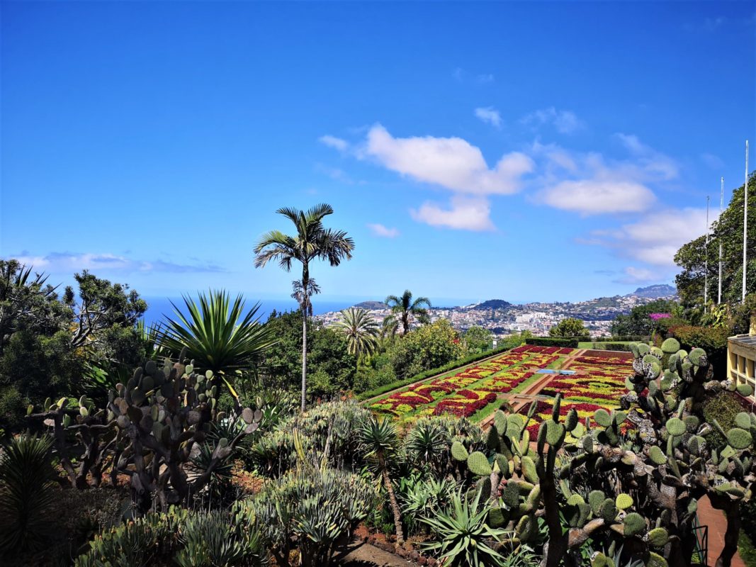 Bakancslistás látnivalók Madeirán Lindával, Botanikus Kert